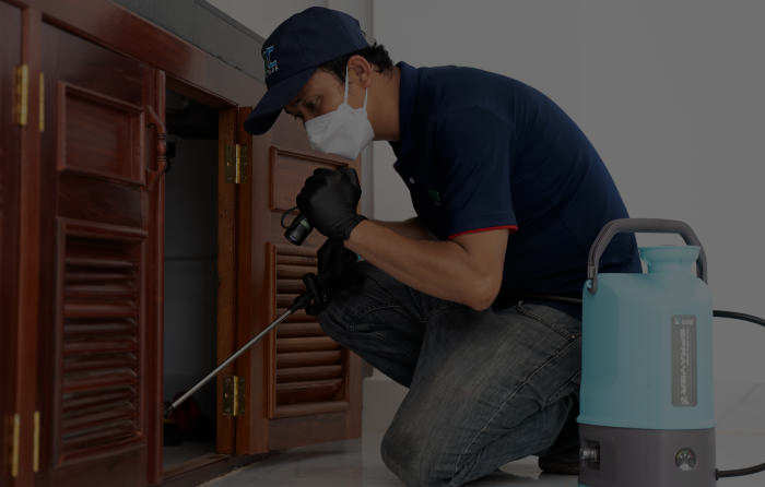 MC PEST & TERMITE CONTROL