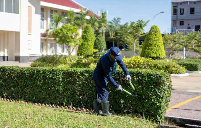 <span class=id-color>MC</span> Gardening & Landscaping