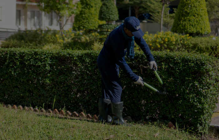 MC GARDENING & LANDSCAPING